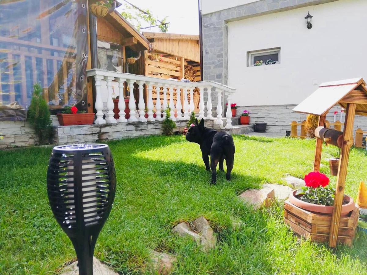 Guest House Grahlyov Sapareva Banya Εξωτερικό φωτογραφία