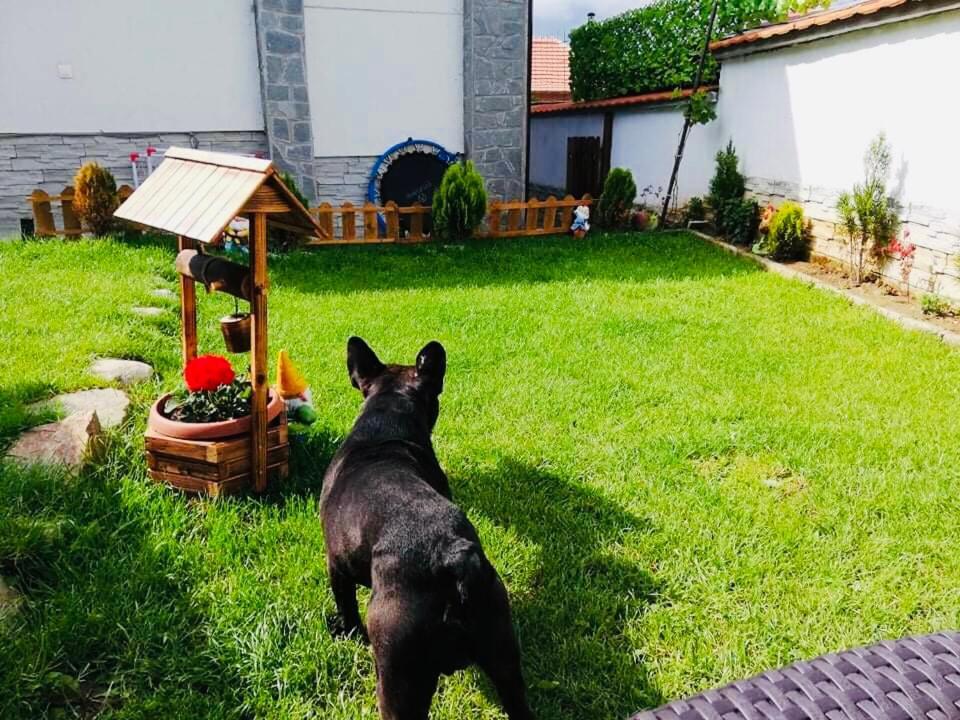 Guest House Grahlyov Sapareva Banya Εξωτερικό φωτογραφία